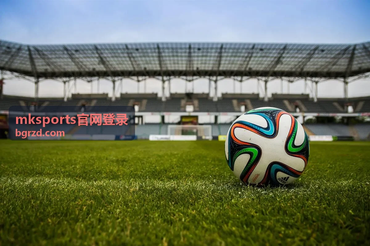 mksports官网登录 账号状态与安全提示示意