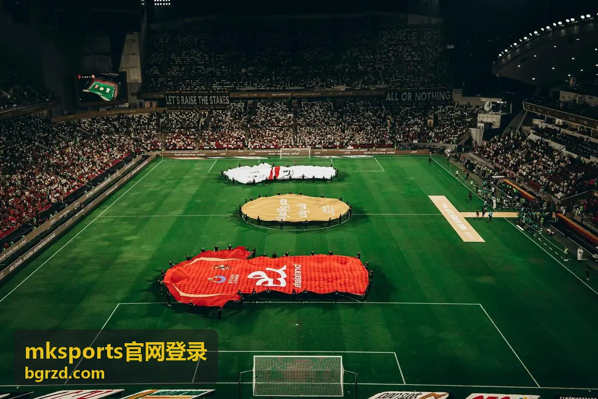 mksports官网登录 账号安全与登录记录查看界面示意