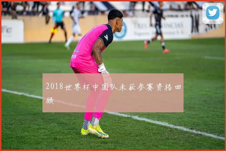 2018世界杯中国队未获参赛资格回顾