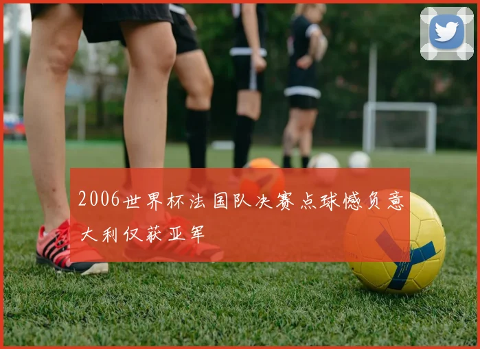 2006世界杯法国队决赛点球憾负意大利仅获亚军