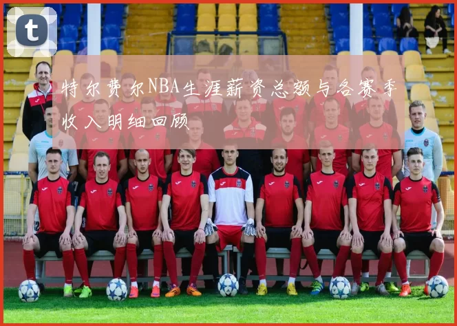 特尔费尔NBA生涯薪资总额与各赛季收入明细回顾