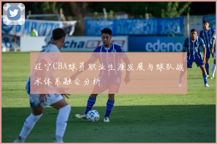 辽宁CBA球员职业生涯发展与球队战术体系融合分析