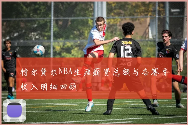 特尔费尔NBA生涯薪资总额与各赛季收入明细回顾