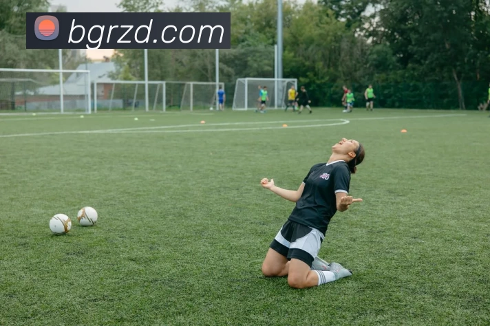 星空体育(中国)官网服务体系